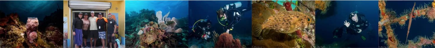Scubafun