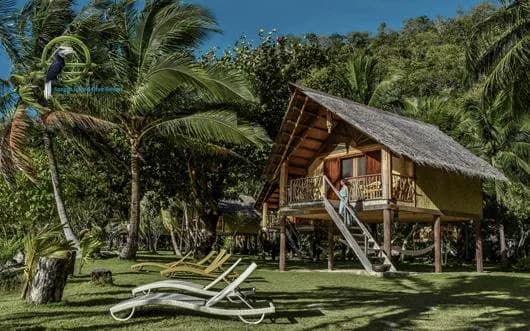 Coron - Sangat Island Dive Center