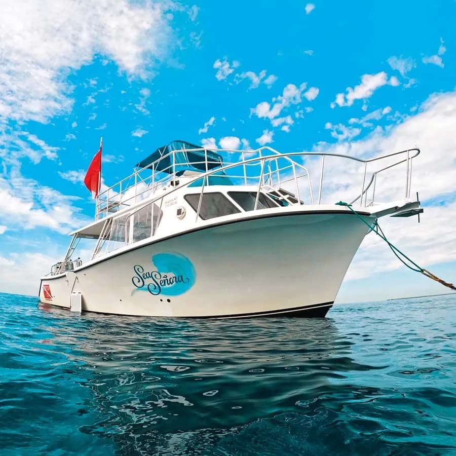 Divers Paradise
