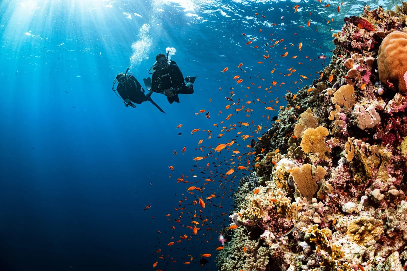 Scuba Fun