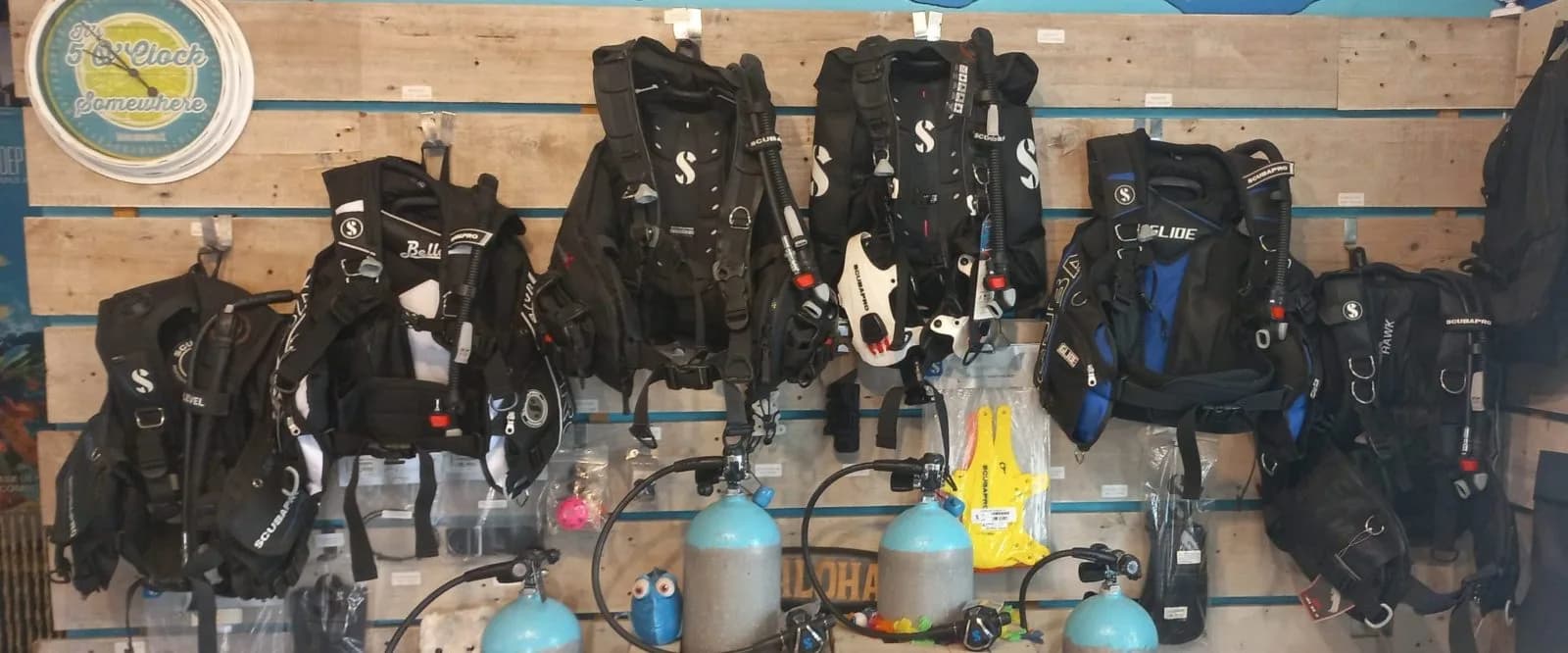 The Dive Bus