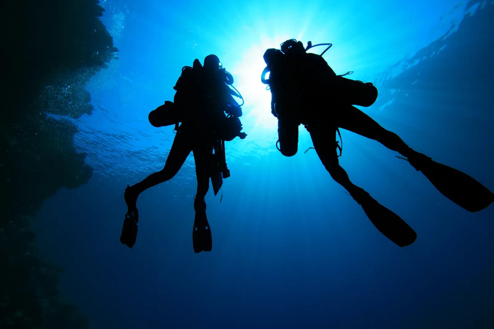 Down Under Dive Shop