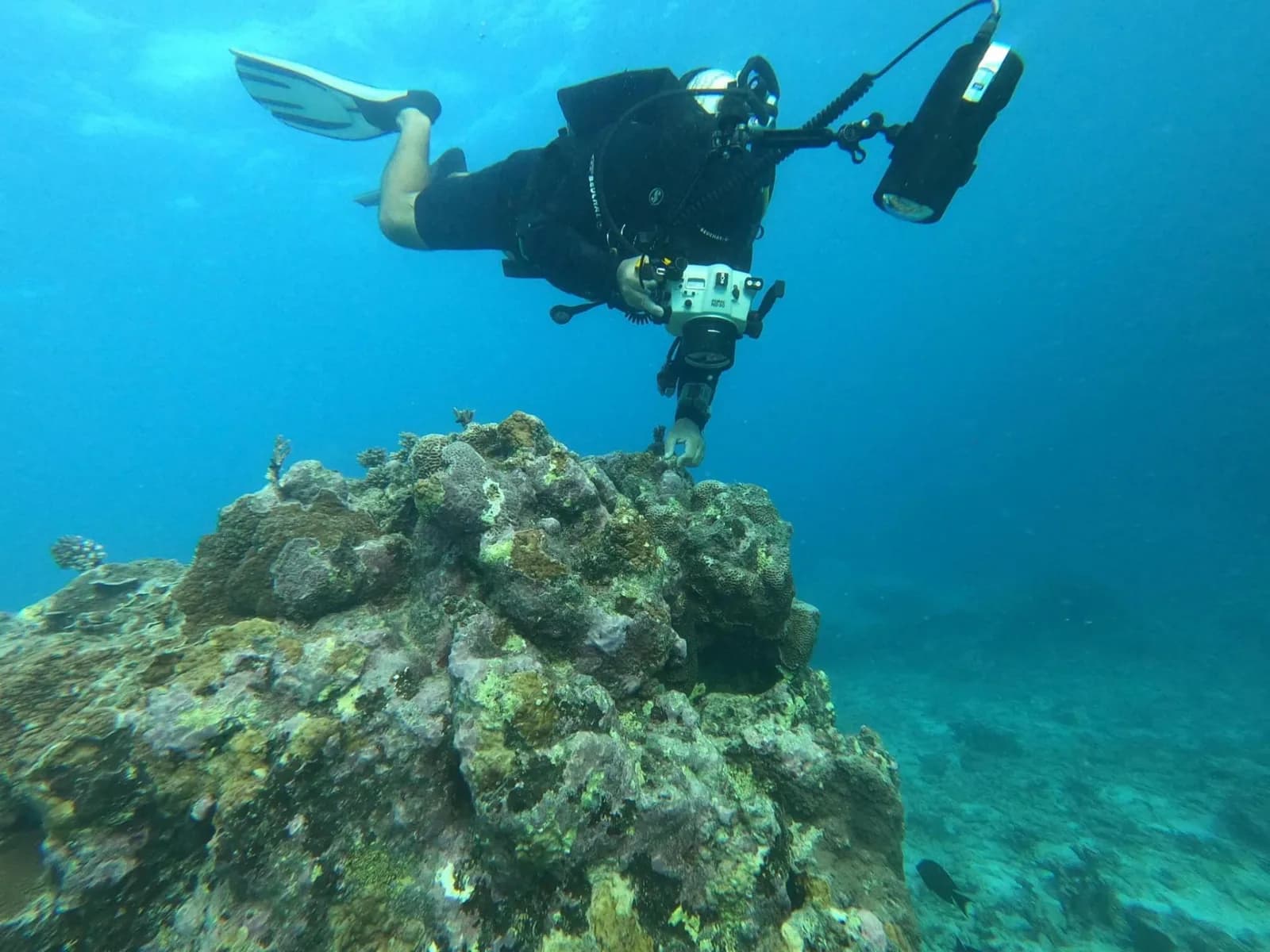 Bouba Diving