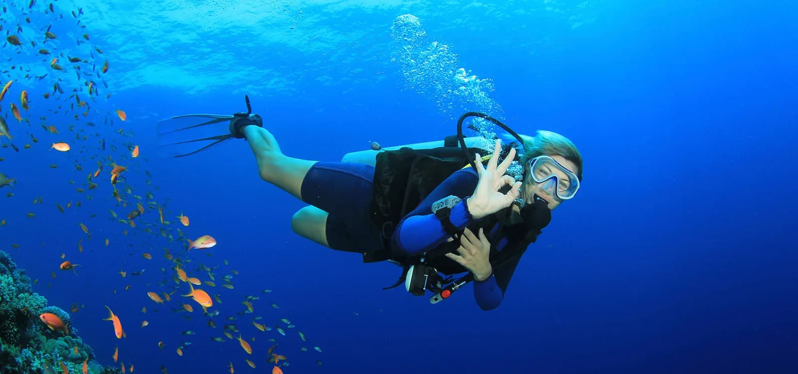 Scubaholics Subic
