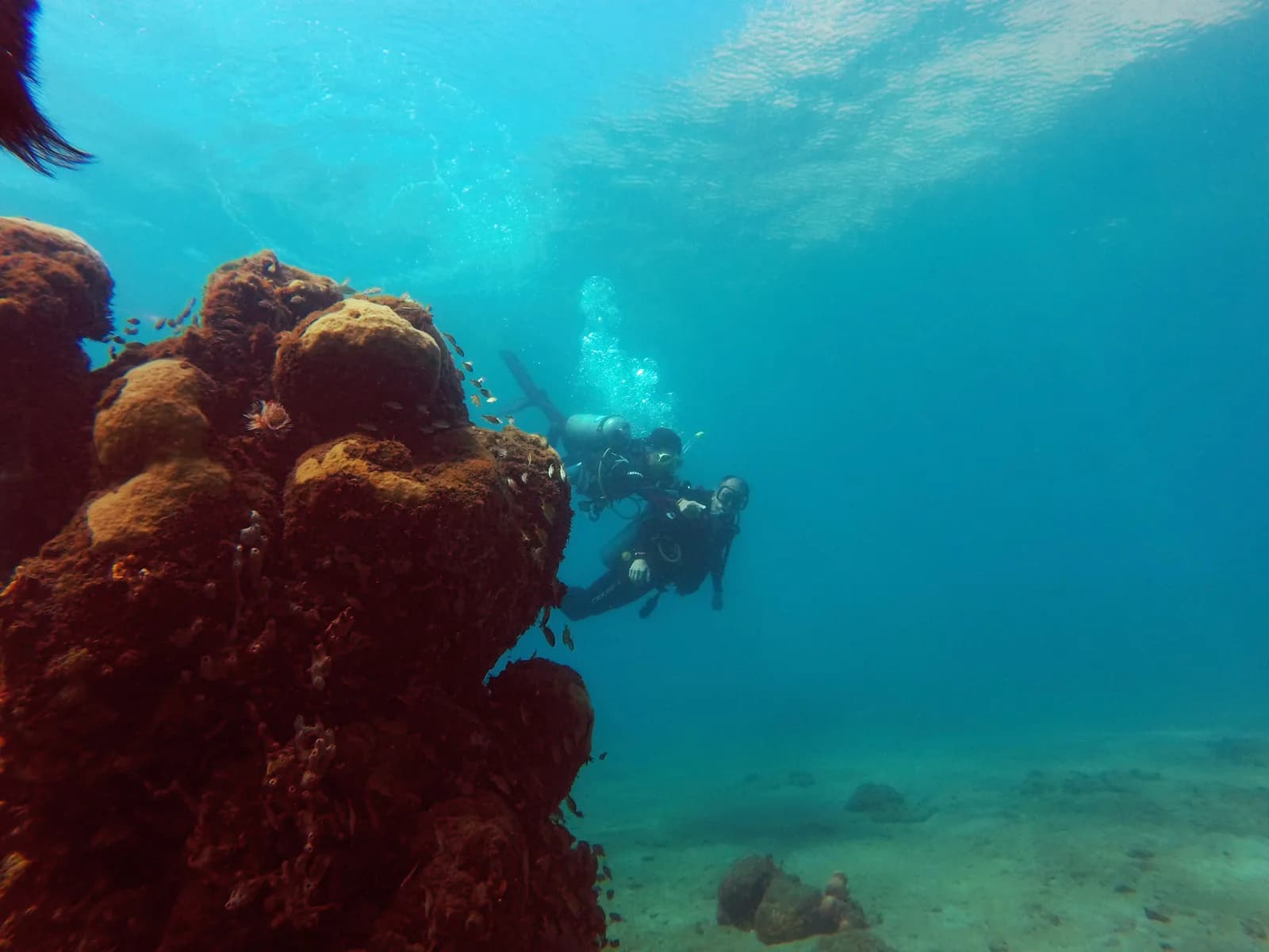 Atlantida Centro de Buceo
