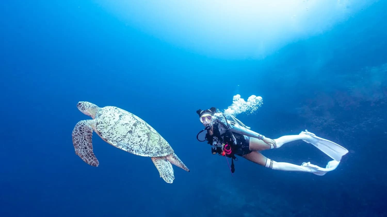 Boracay Fisheye Divers