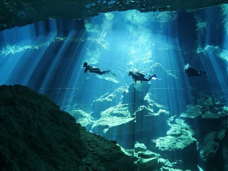 Wet Set Diving Adventures