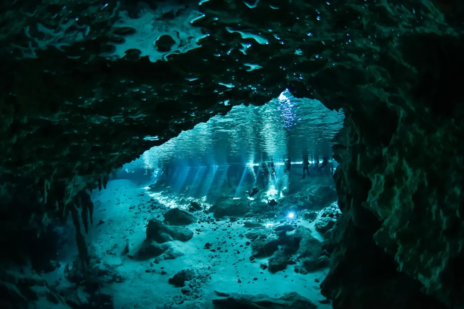 Infinity2 Diving