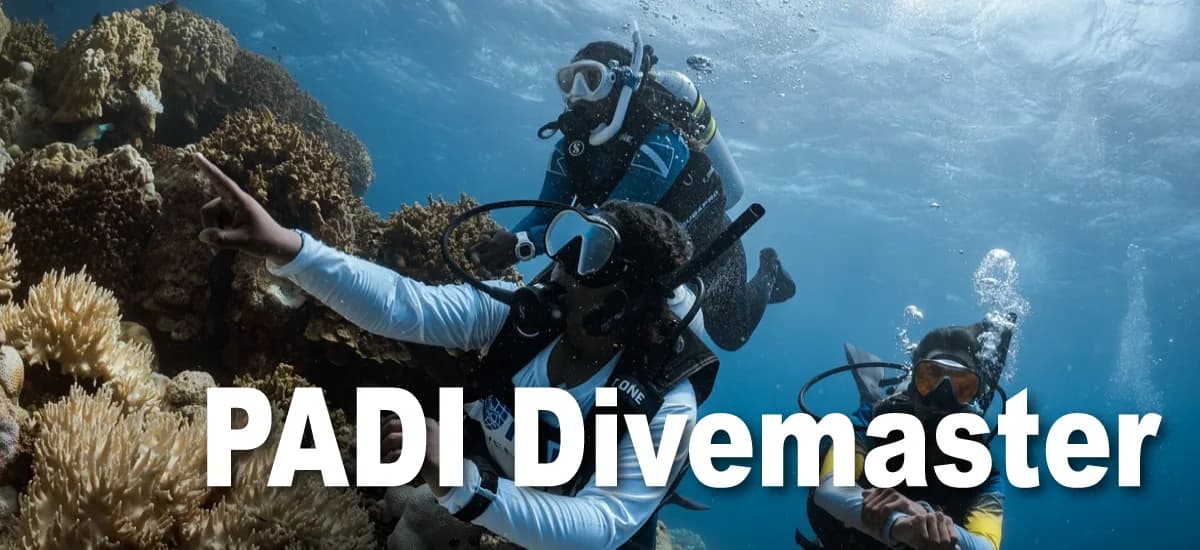 Mactan Scuba University