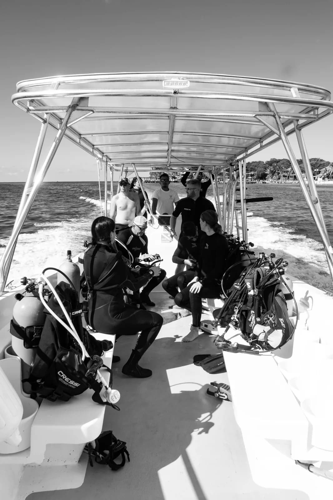 Reef Gliders