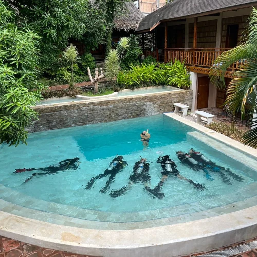 Asia Divers