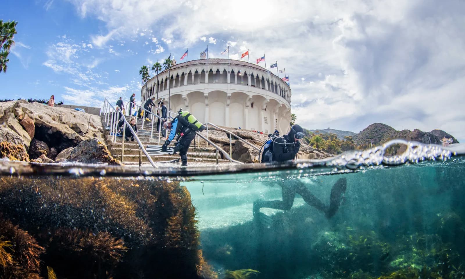 Catalina Divers Supply