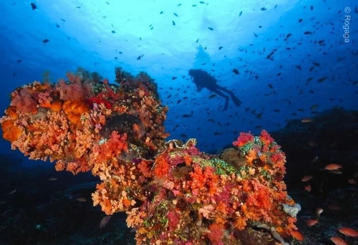 AquaMarine Diving - Bali