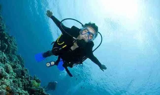 Two Fish Divers Bunaken