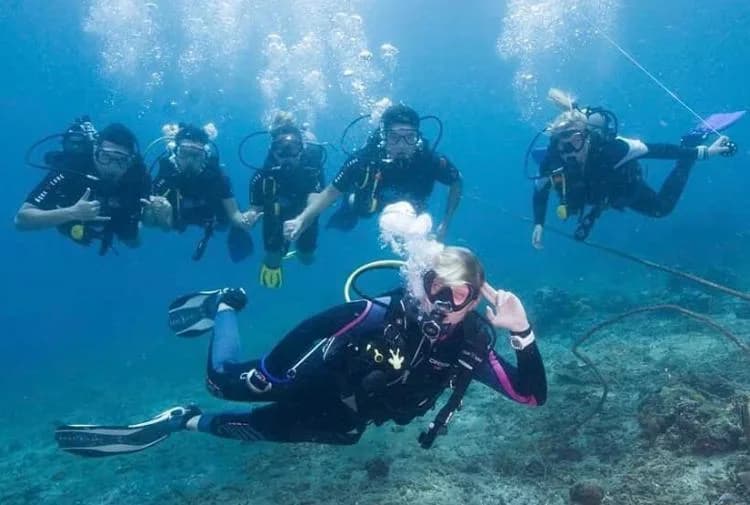 Bali Reef Divers