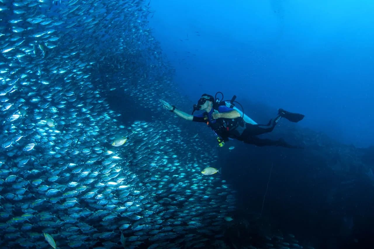 Temple Diving by Mar Adentro