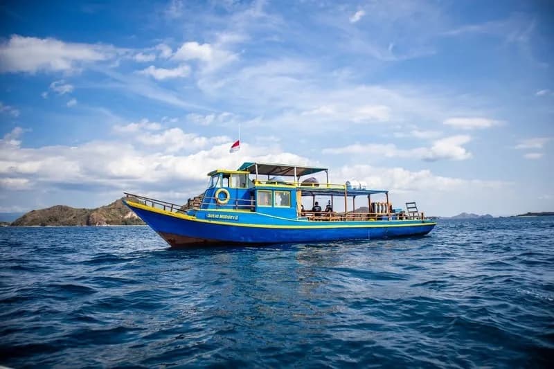Bajo Dive Club