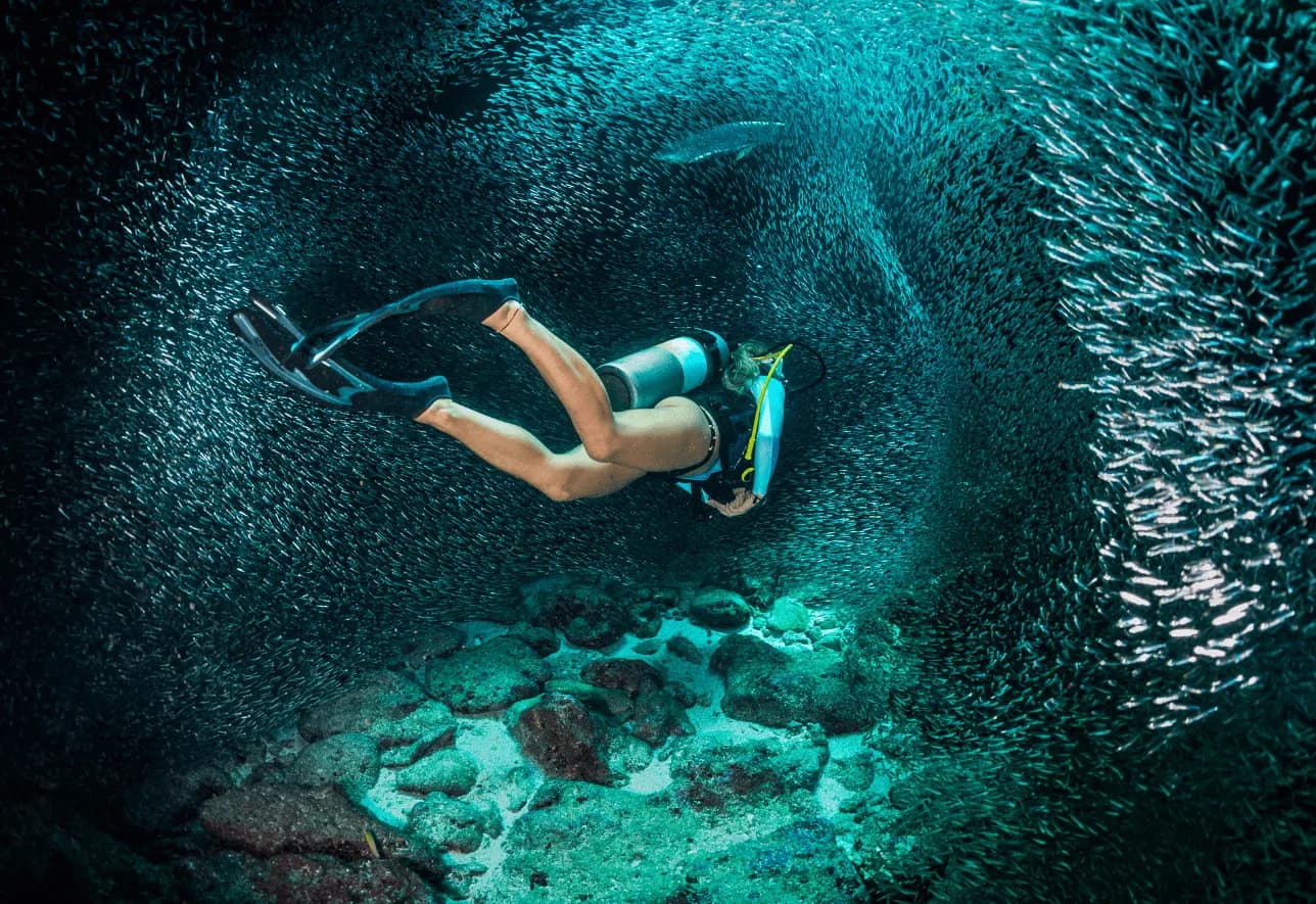 Divers Inn