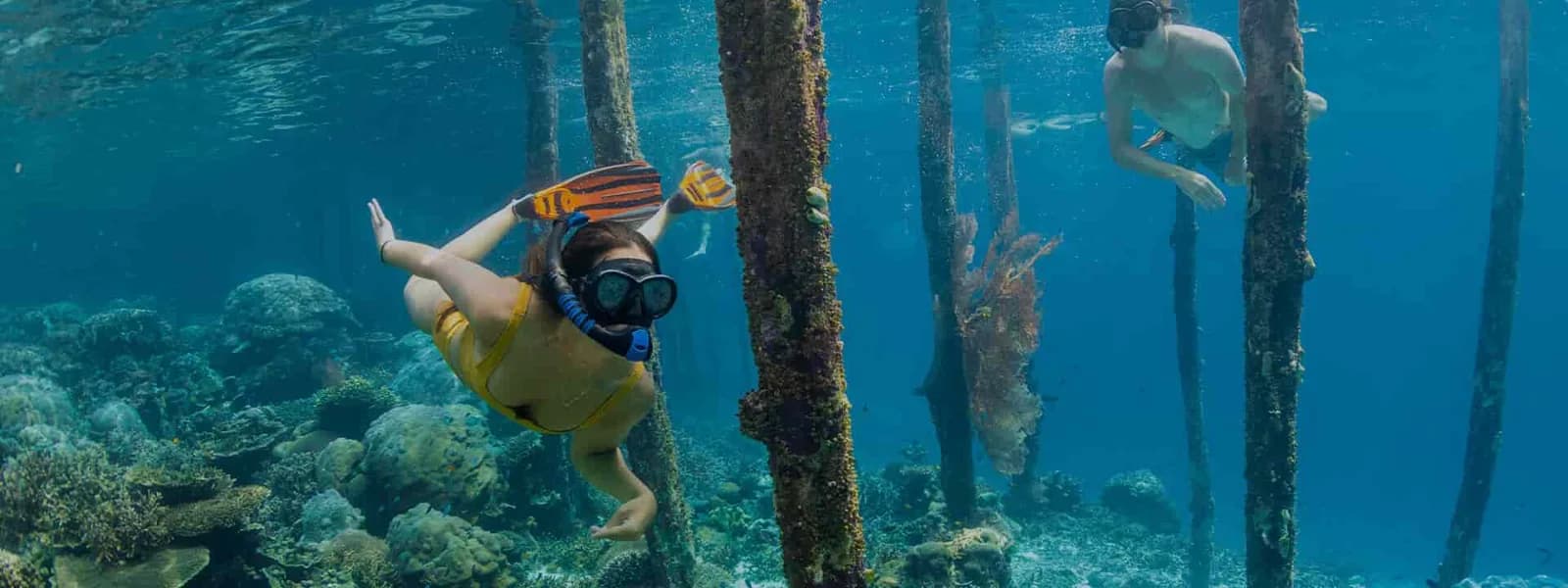 Meridian Adventure Dive