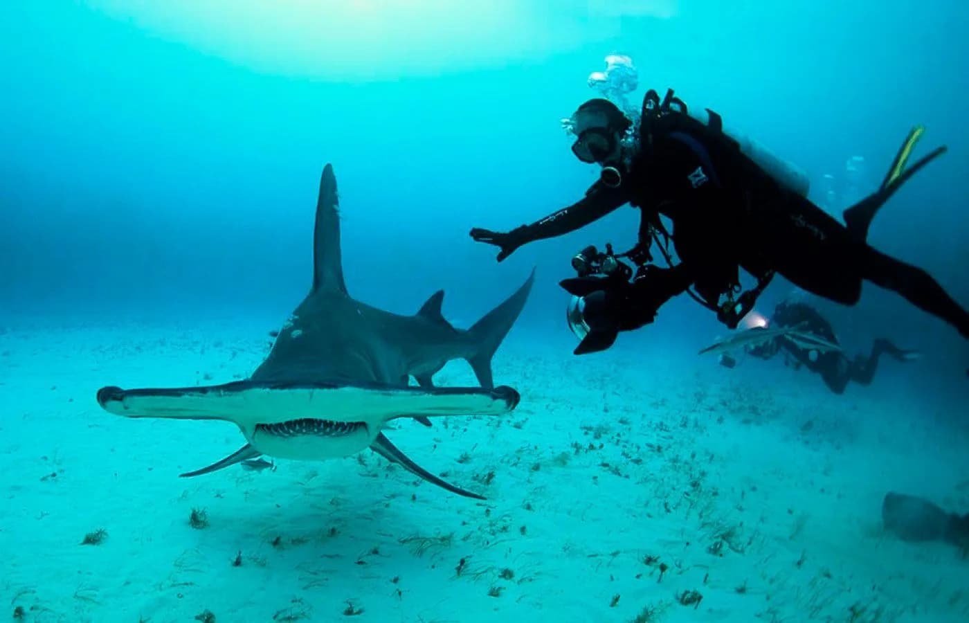 Eagleray Tours Viajes y Turismo