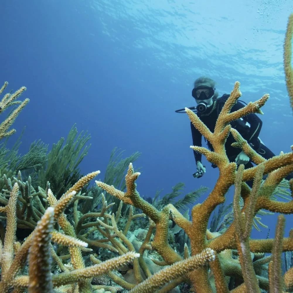 Scubanautics Diving Academy