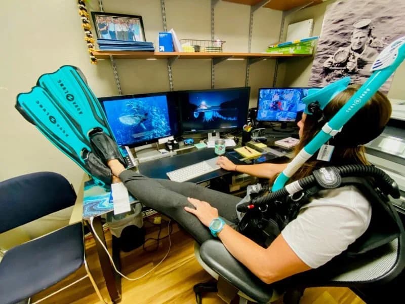 Aaron's Dive Shop