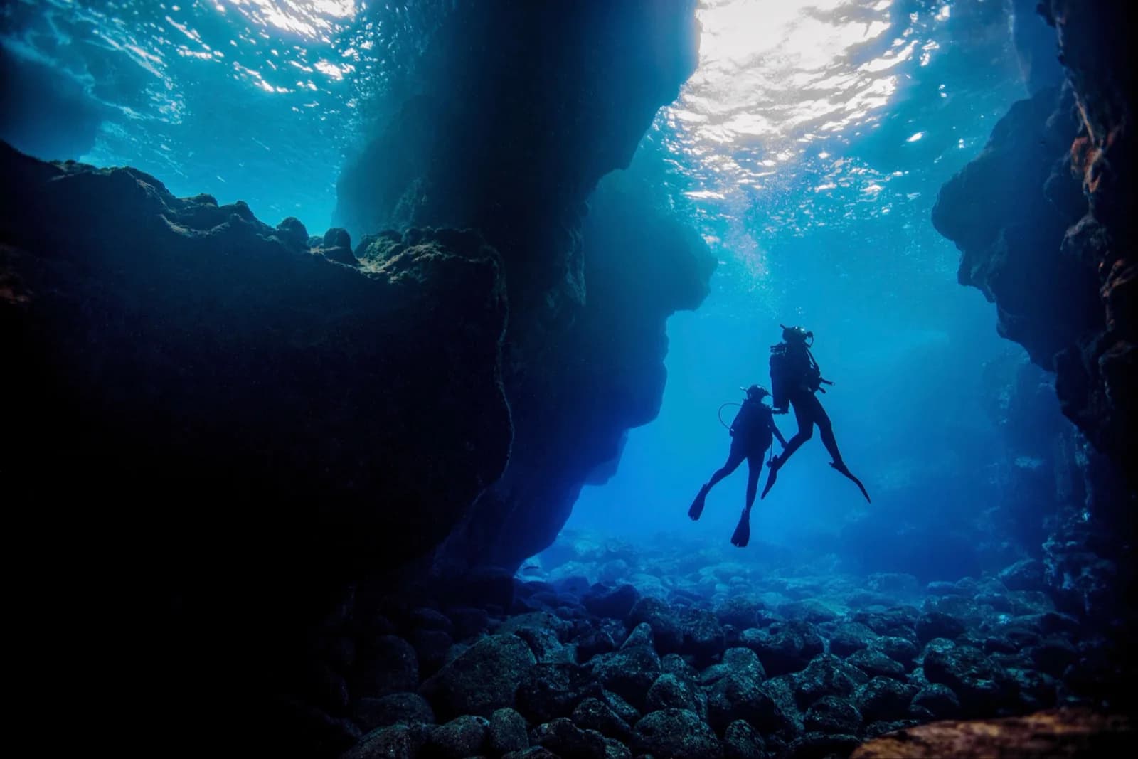 Aloha Scuba Diving Company