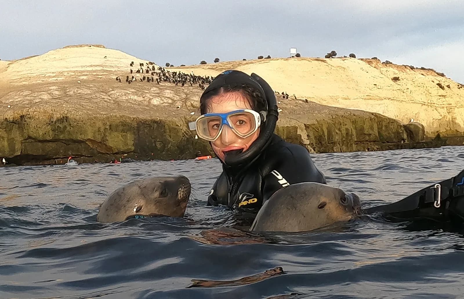 Bucea Hoy - Dive Today
