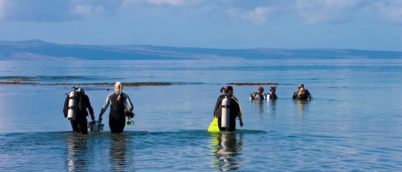 Australian Diving Instruction