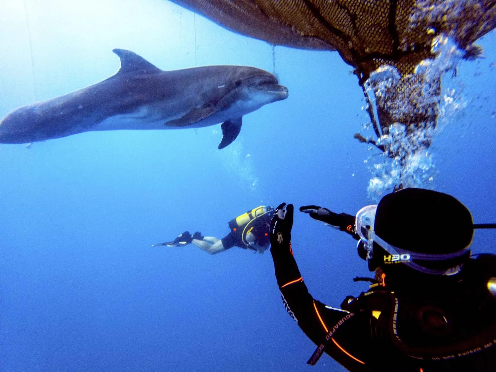 Dive With Me Athens