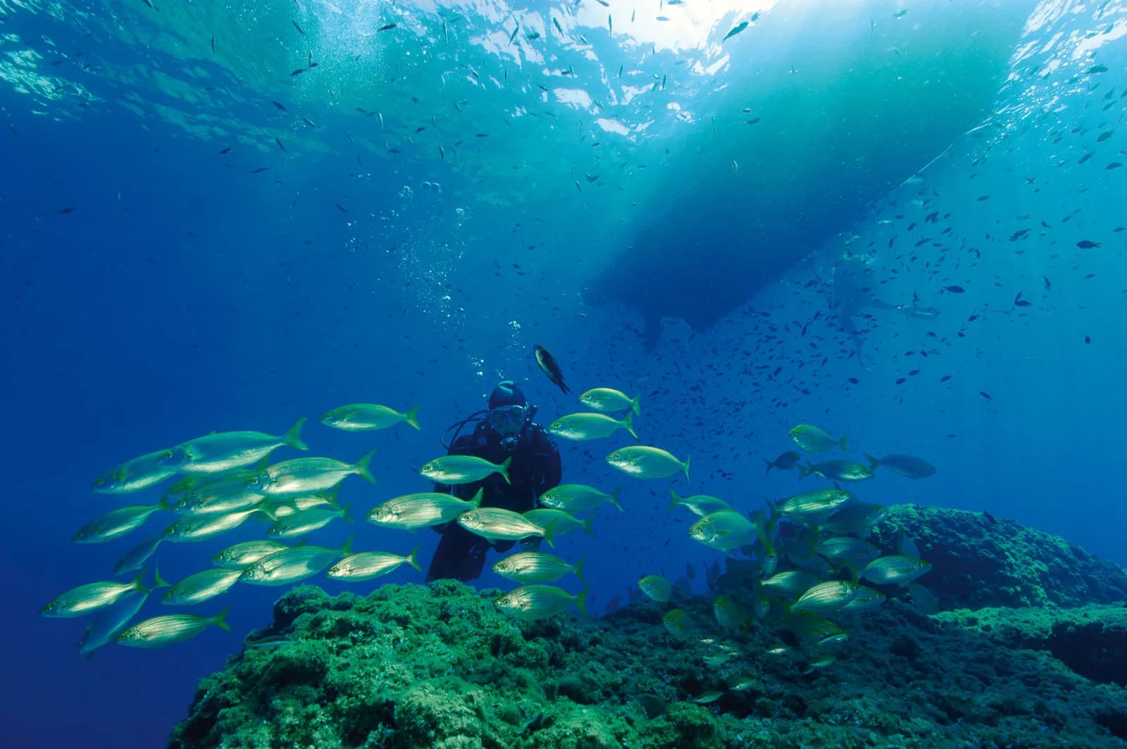 B&B Diving 2.0