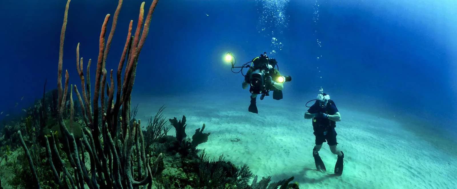 Petrodivers