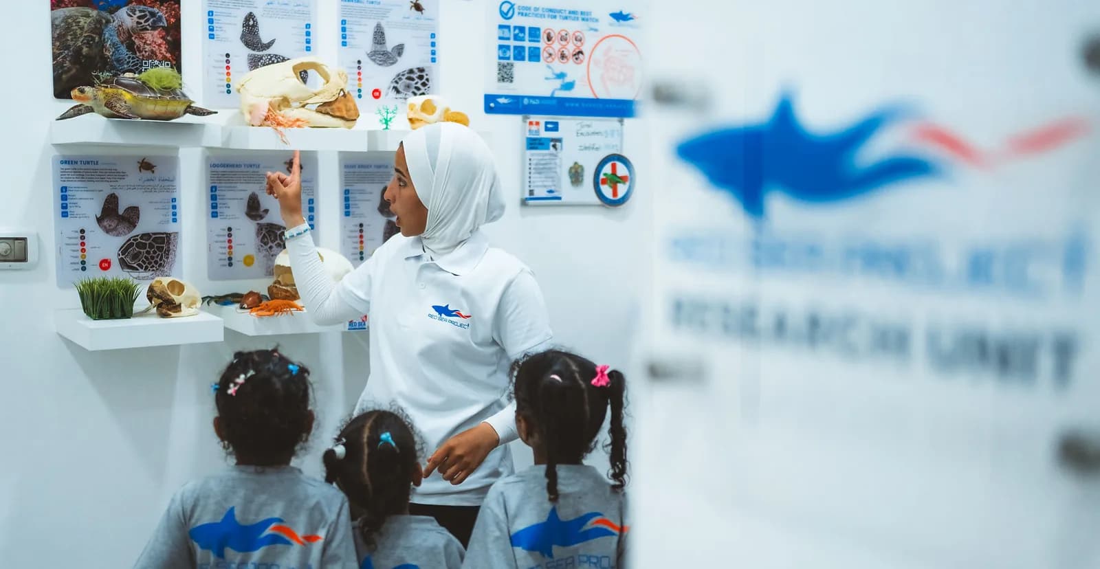 Red Sea Project Ecotourism