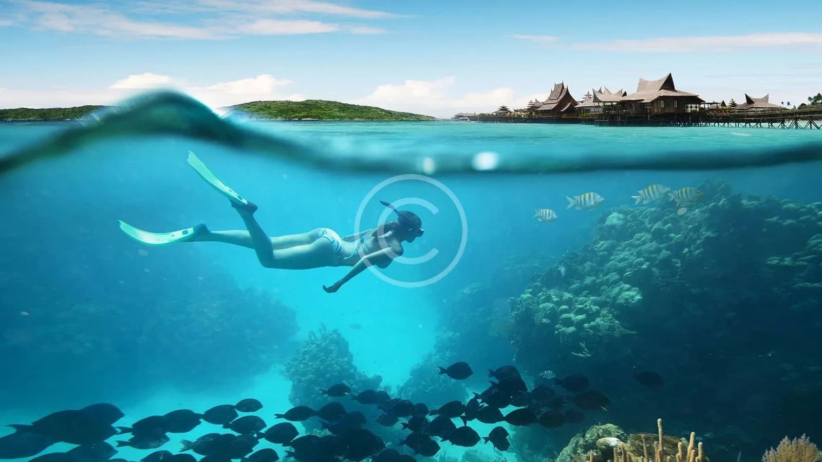Red Sea Secret Diving