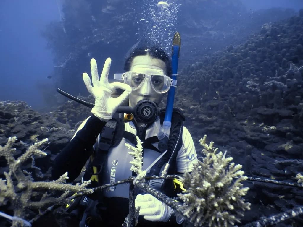 Eco2 Diving
