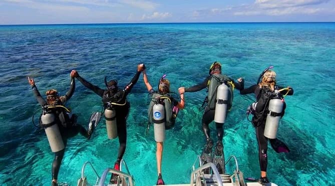 Blue Sea Diving and Water Sports