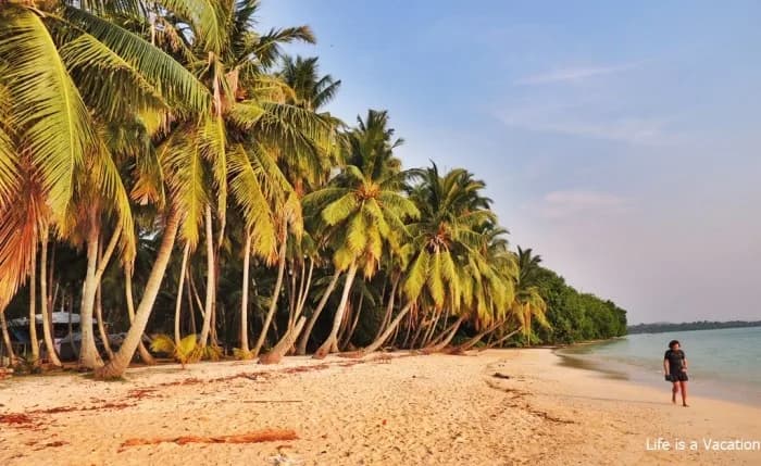 Island Nomads