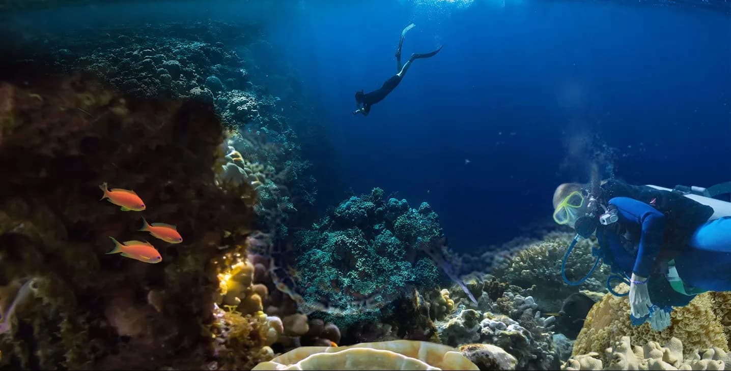 Fin-Tastic Diving