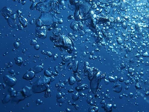Wetzone Divers