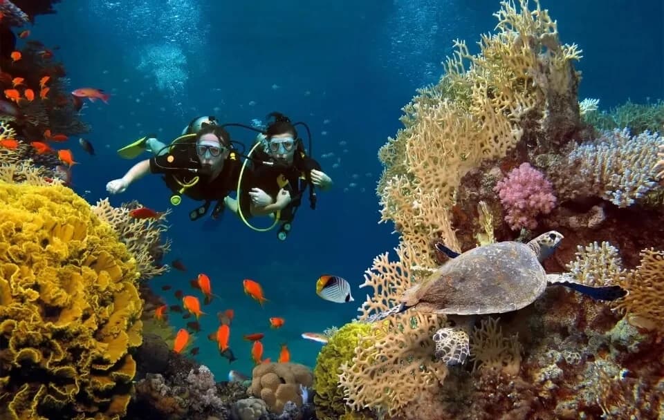 Dives Guru
