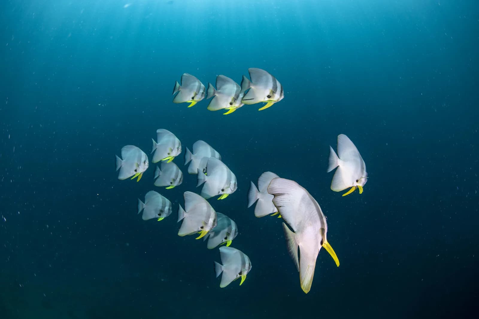 Lanta Fun Divers
