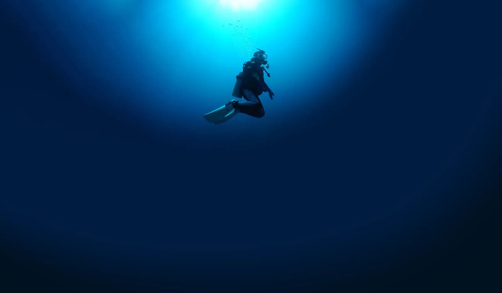 Aqua Cat Horomui Diving