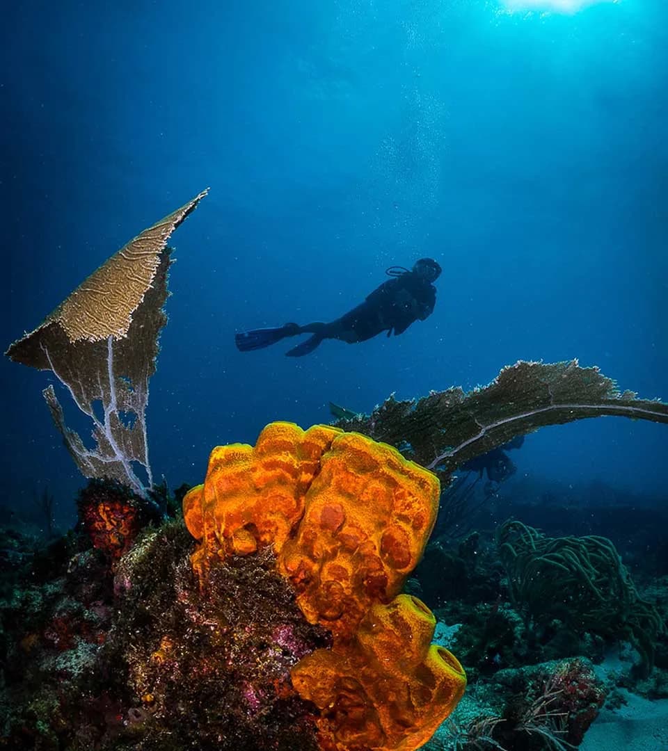 Undersea Tobago Ltd.