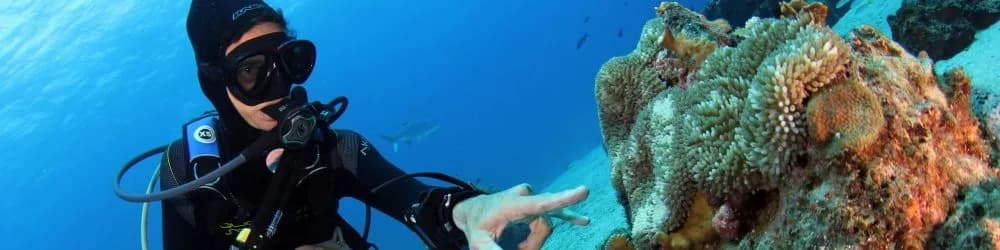 Goby Divers and Watersports N.V.