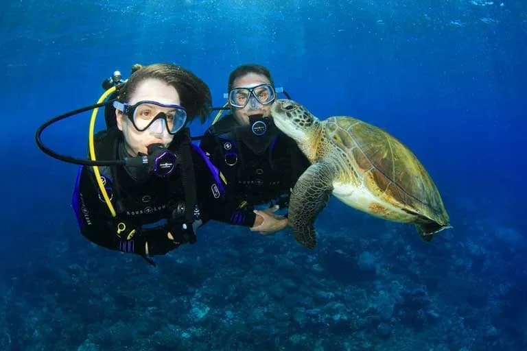 Let's Dive Center
