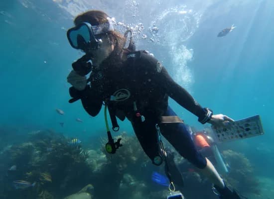 Santa Marta Dive Center