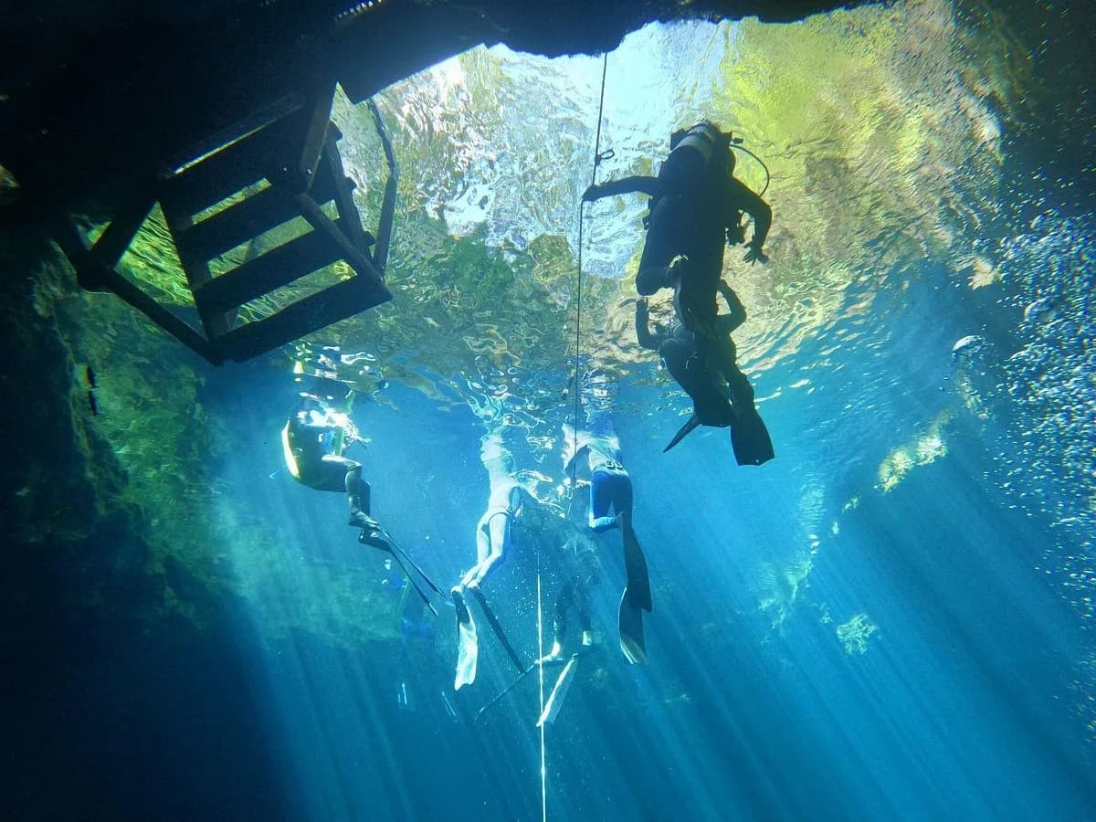 The Cenote Guy - Cenote Diving