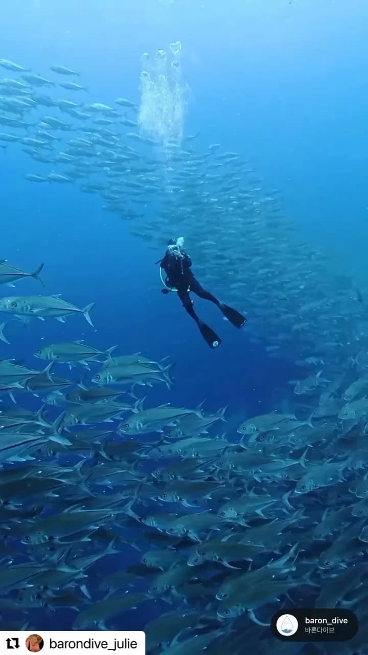 Baron Dive