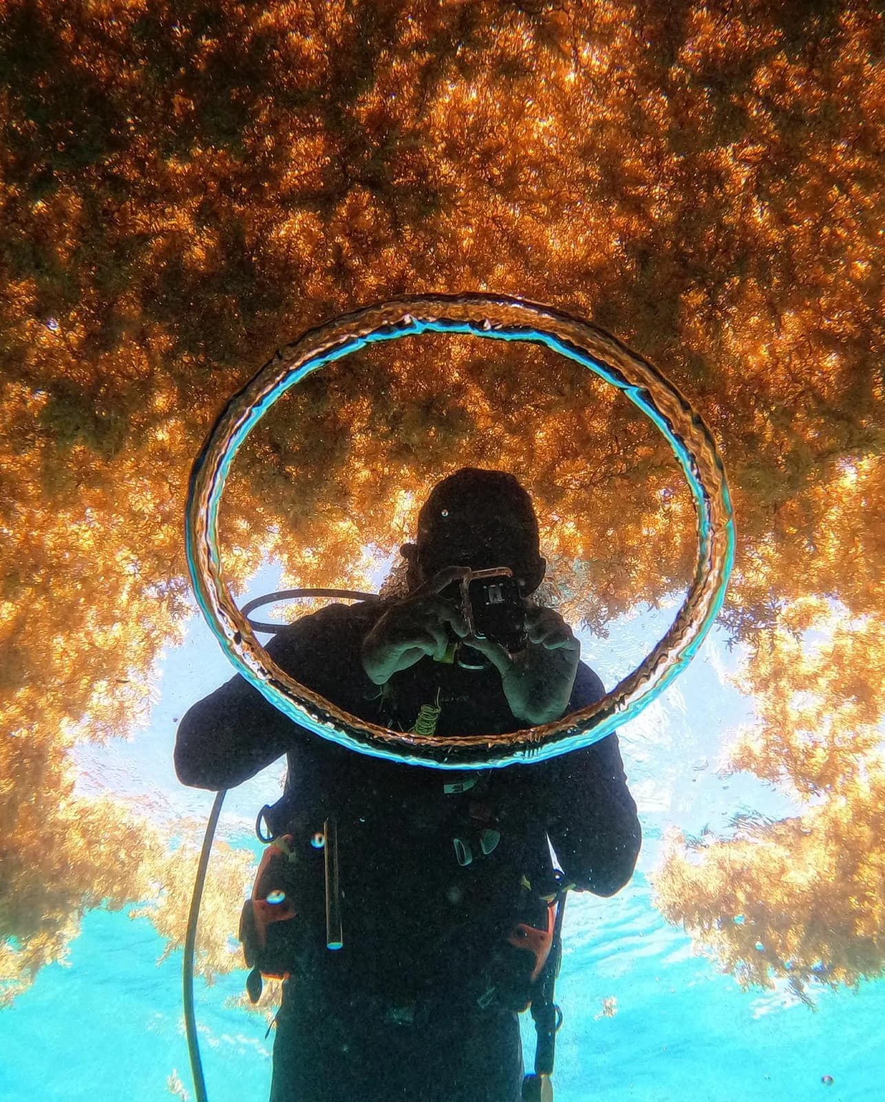 Escuela de Buceo Sea Pride