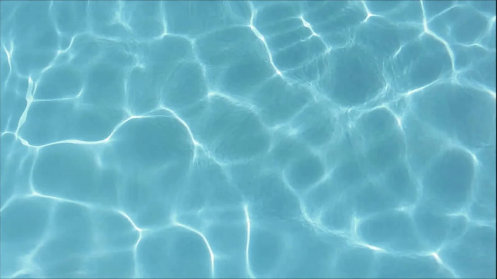 Summer-Salt Dive Center